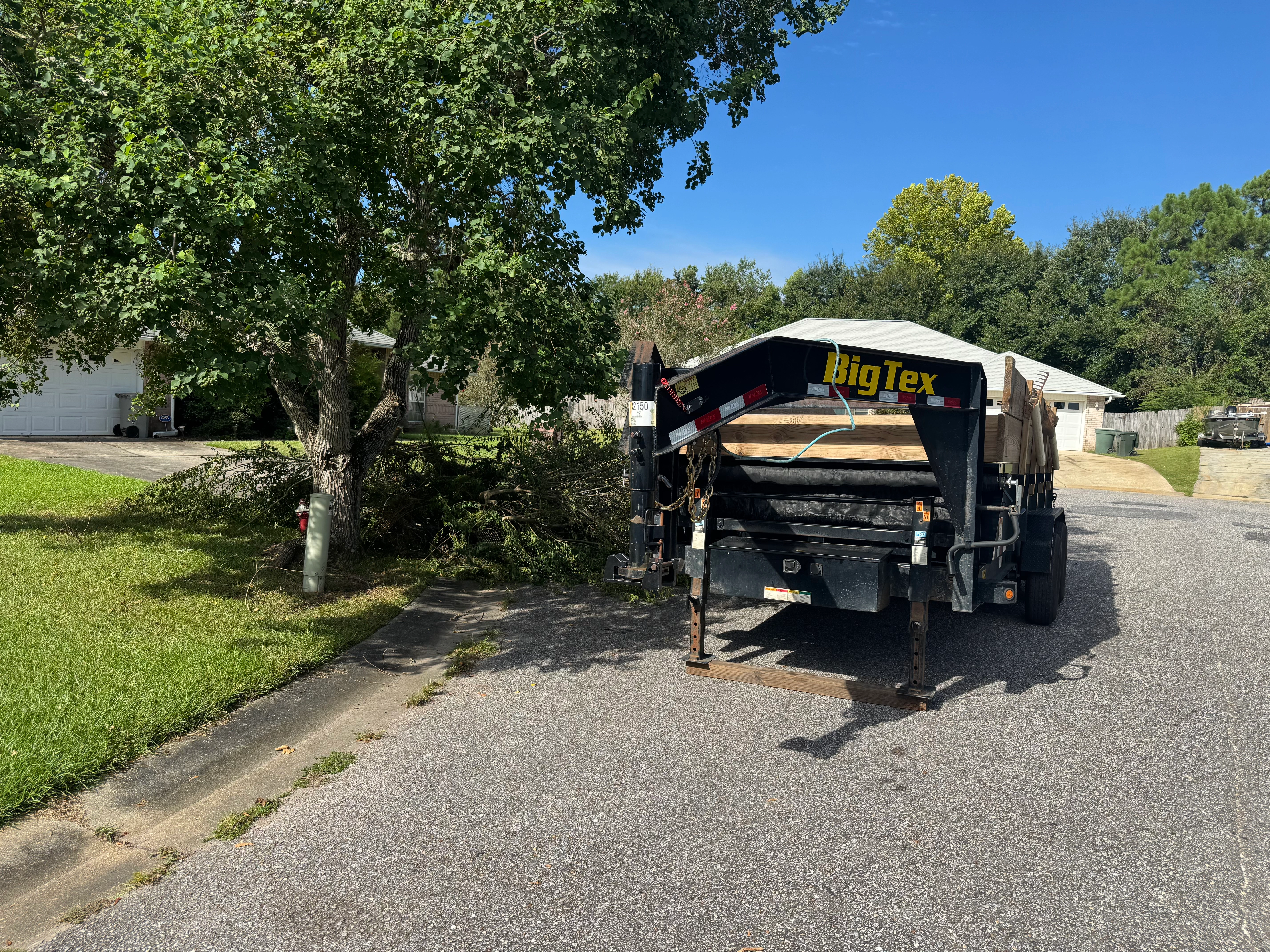 Neighborhood cleanup — morning route