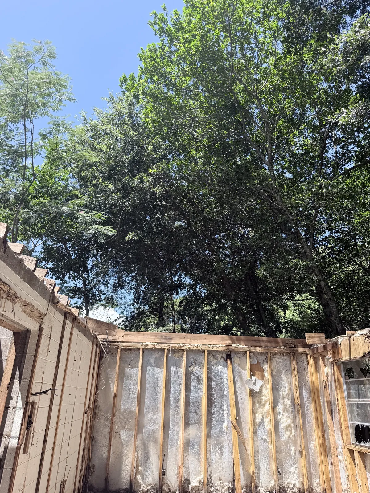 Interior demolition and property cleanout in progress